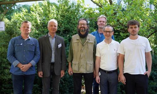 Fachverband rät: Baumschutz als Leistungsposition mit aufnehmen