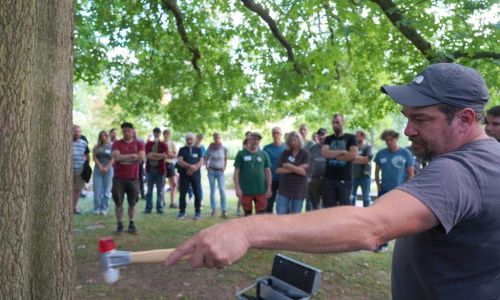 Baumschutz mit Unterpflanzung, Untersuchung und Rechtsschutz