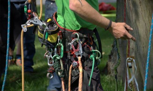 Baumpflegefachtagung vom 27. bis 29. Mai 2022 in Grünberg