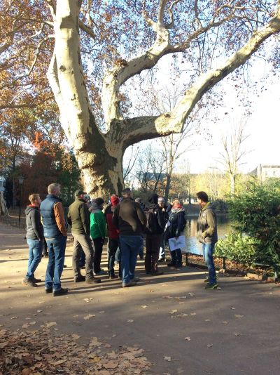 Die Platanen entlang des Stadtgrabens auf der Kö blieben vom Sturm weitestgehend verschont, berichtete Landschaftsarchitektin Silke Thyssen von der Stadt Düsseldorf (Foto Jörg Cremer).