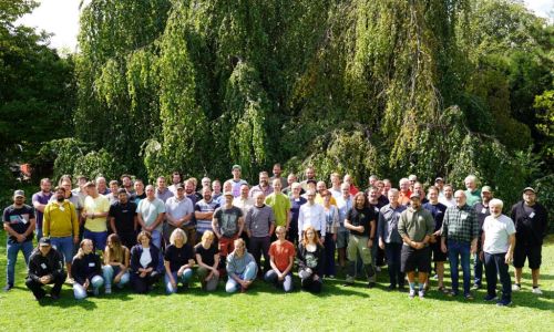 Baumschutz lohnt sich für Kommunen