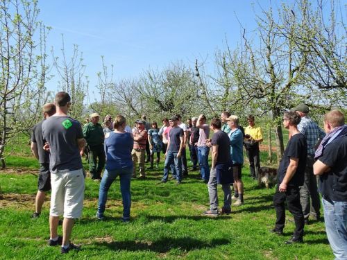 Seine Apfelplantage hat Heinrich Sauerbier klar im Griff.