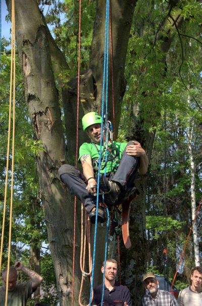 Der individuelle Baumaufstieg muss passen