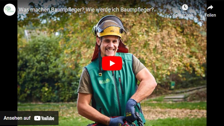 Wie werde ich Baumpfleger?