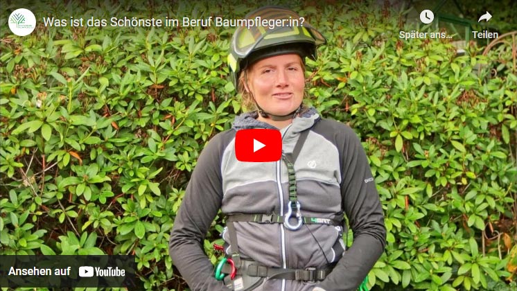 Was ist das Schönste im Beruf Baumpfleger:in?